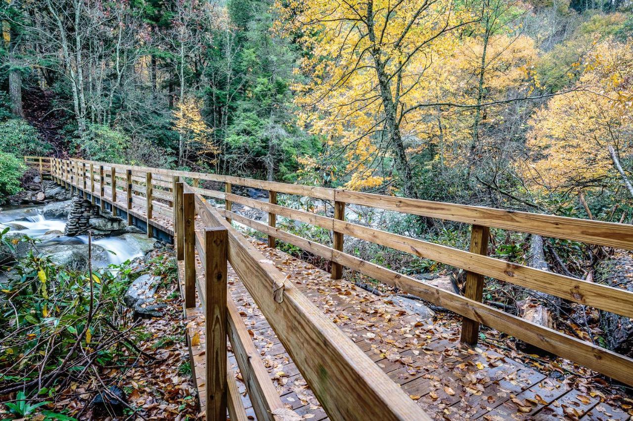 Apartament Aspens Envy Pigeon Forge Zewnętrze zdjęcie